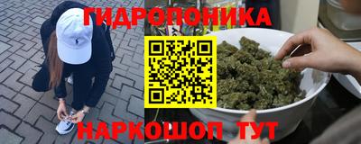 ALPHA PVP Аргун