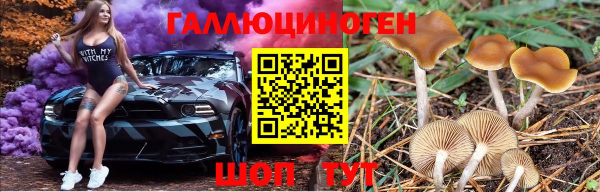 Псилоцибиновые грибы Cubensis  Галлюциногенные грибы Magic Shrooms  Вход с VPN  Аргун 